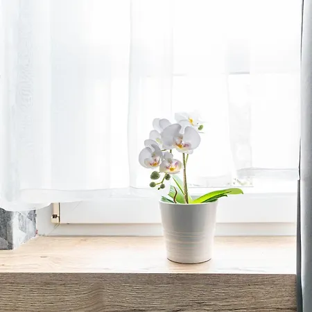 Apartman Green Holiday Apartment